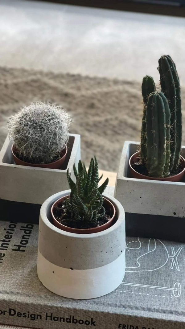 Concrete Planter
