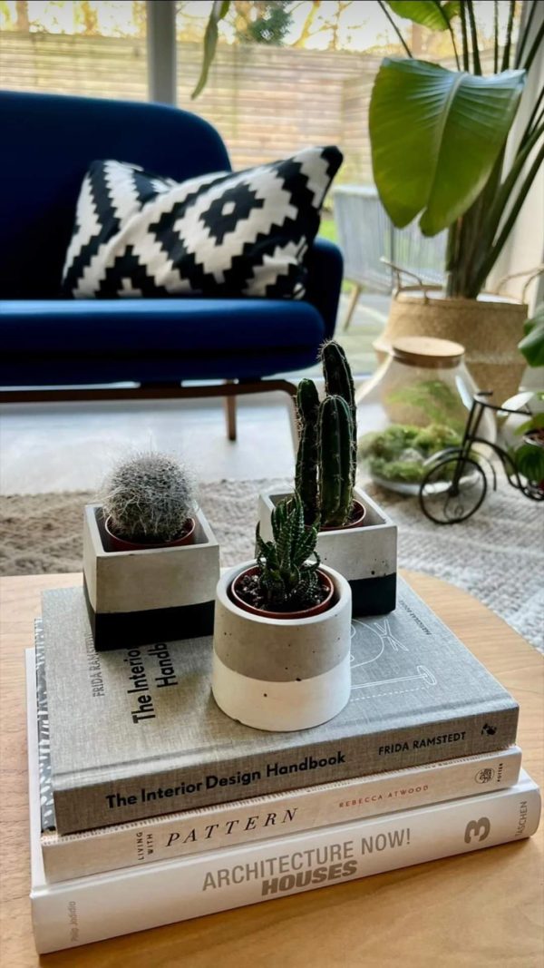 Concrete Planter - Image 3