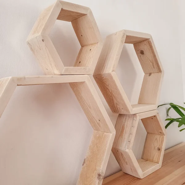 Hexagon Hive Shelf