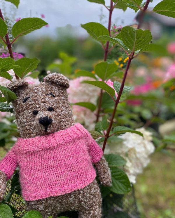 Teddy Bear in sweater