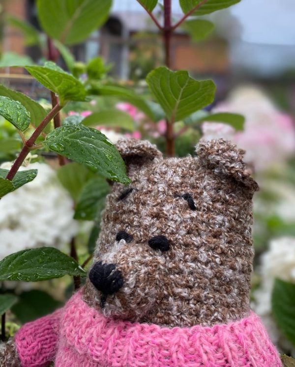 Teddy Bear in sweater - Image 3