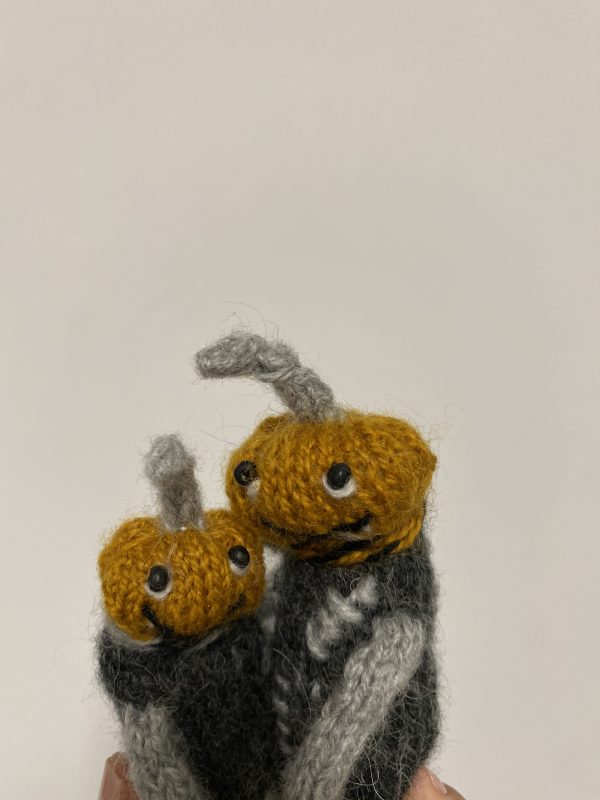 Mr and Mrs Pumpkins - Image 7