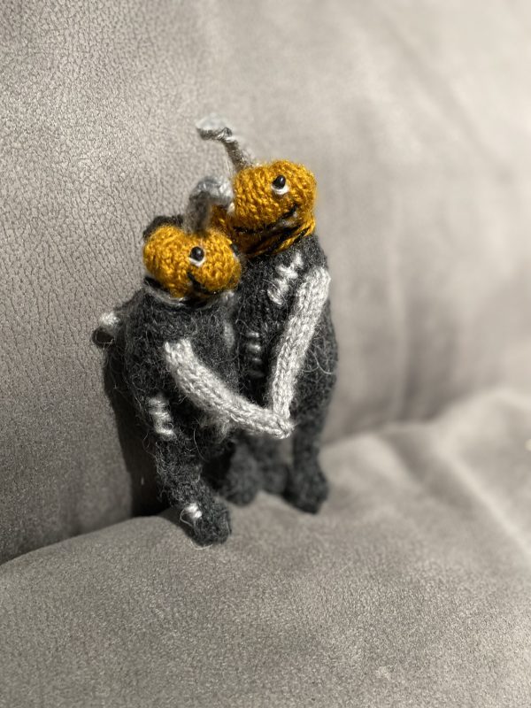 Mr and Mrs Pumpkins