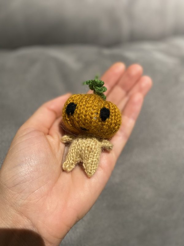 Pumpkin fellow - Image 2