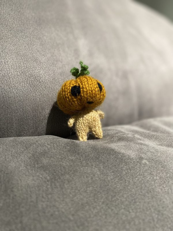 Pumpkin fellow