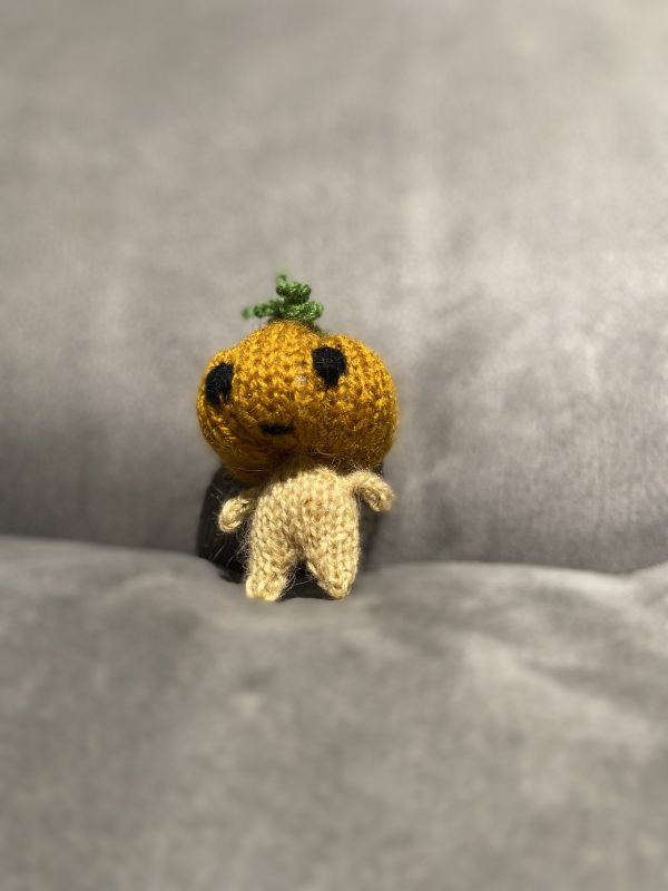 Pumpkin fellow - Image 4
