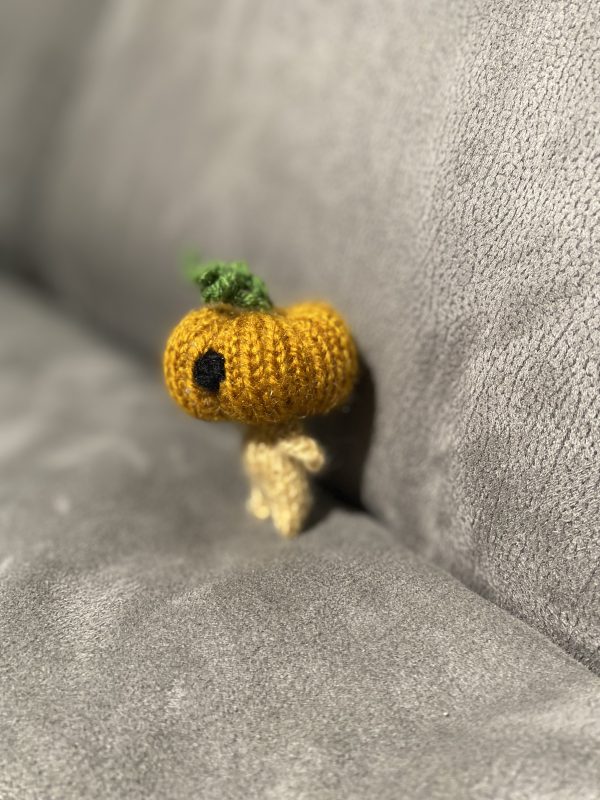 Pumpkin fellow - Image 3