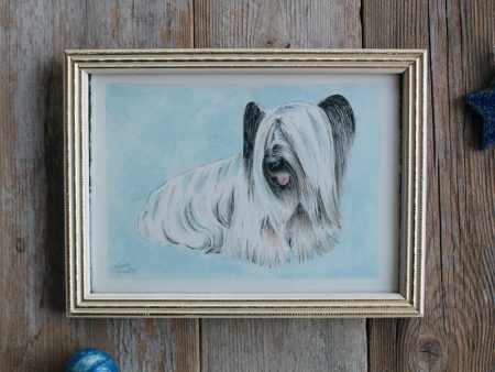 Cute framed dog illustration