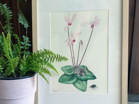 Delicate Hand-Painted Botanical Illustration: Cyprus Cyclamen, Shrew, and Endemic Beetle