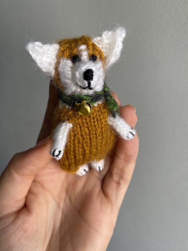 Cheerful Corgi