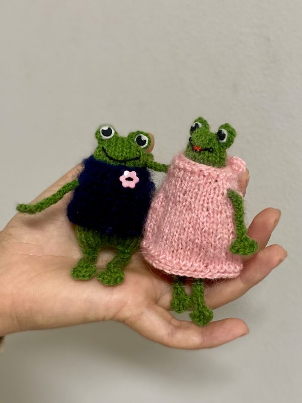 The Froginshteins - Image 2