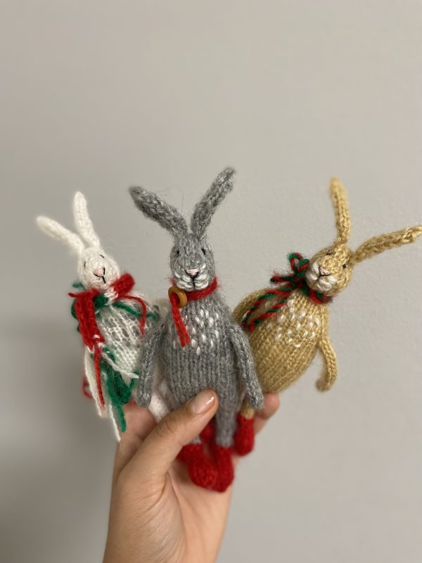 Funny Bunny