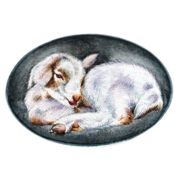 Goat Kid: Original Framed Painting