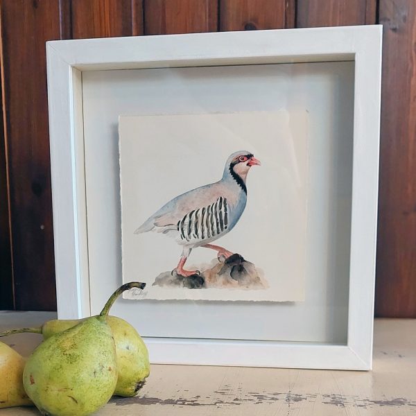Nature's Still Life: Framed Watercolour of a Partridge - Image 3