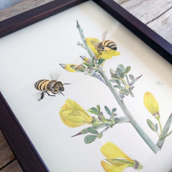 Golden Nectar: A Botanical Tribute to Bees - Image 3