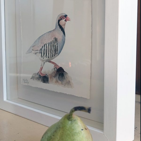 Nature's Still Life: Framed Watercolour of a Partridge - Image 4