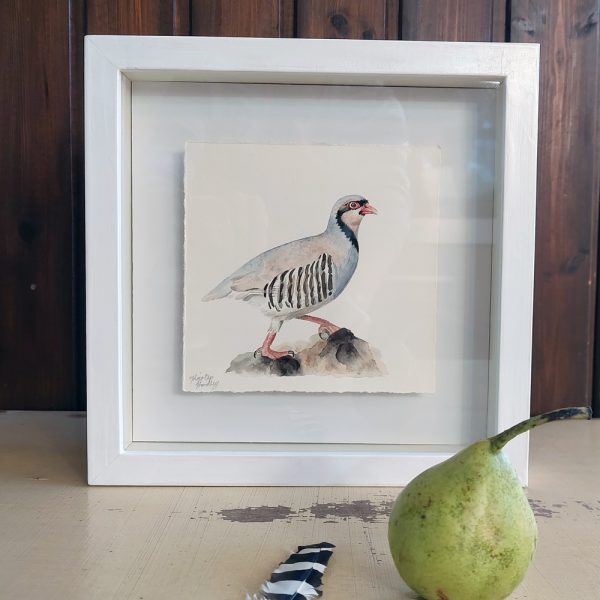 Nature's Still Life: Framed Watercolour of a Partridge - Image 6