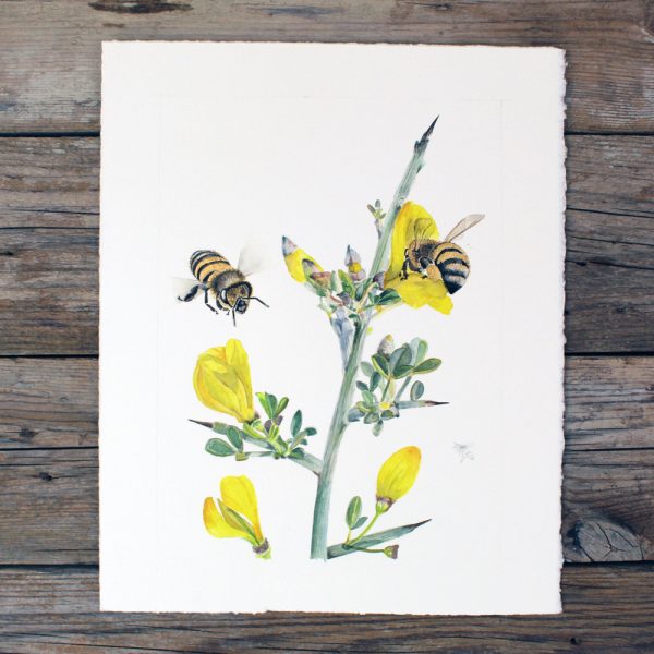 Golden Nectar: A Botanical Tribute to Bees - Image 6