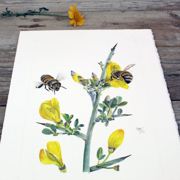 Golden Nectar: A Botanical Tribute to Bees - Image 7