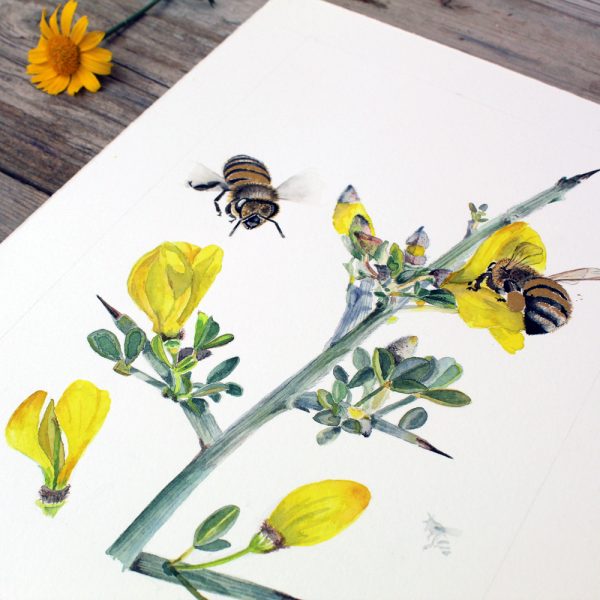 Golden Nectar: A Botanical Tribute to Bees - Image 8