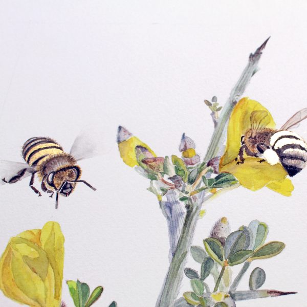Golden Nectar: A Botanical Tribute to Bees - Image 9