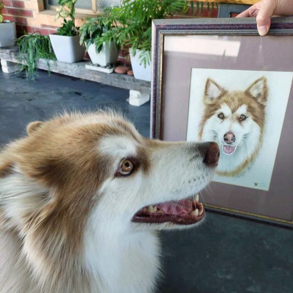 Treasured Custom Pet Portrait Watercolour Painting - Image 10