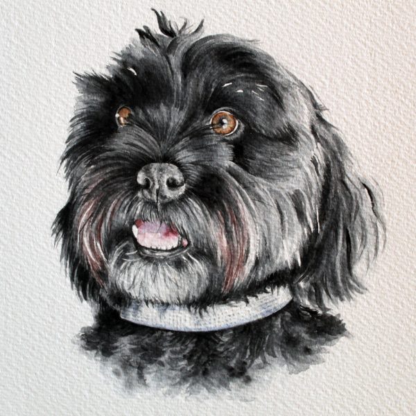 Treasured Custom Pet Portrait Watercolour Painting - Image 11