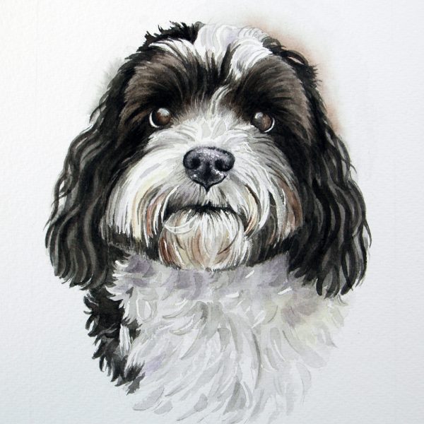 Treasured Custom Pet Portrait Watercolour Painting - Image 6