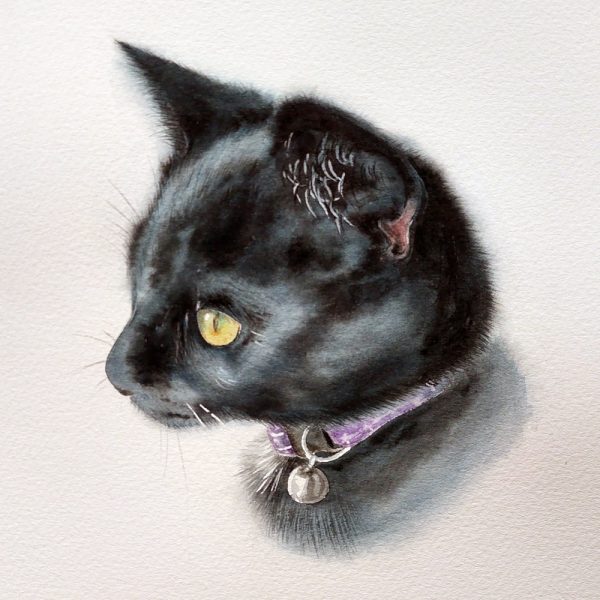Treasured Custom Pet Portrait Watercolour Painting - Image 8
