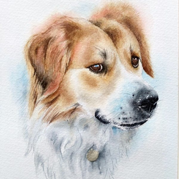 Treasured Custom Pet Portrait Watercolour Painting - Image 4