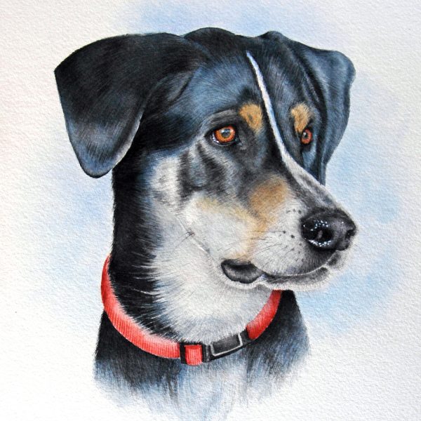 Treasured Custom Pet Portrait Watercolour Painting - Image 5