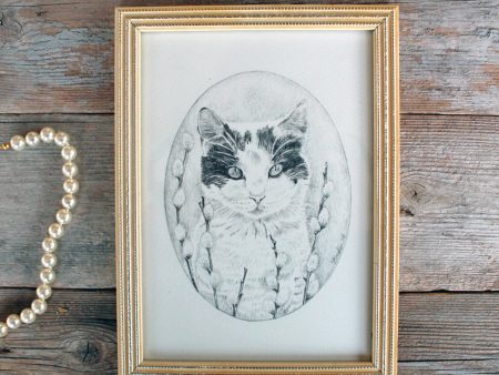 Cat graphite Illustration