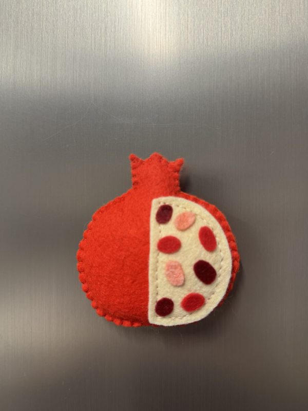 Playful Felt Fruit Magnets -3 variations