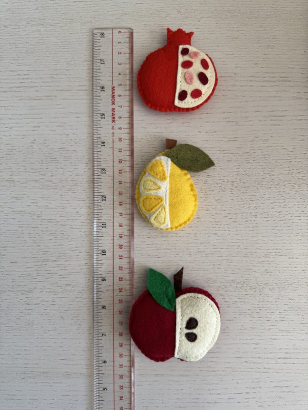 Playful Felt Fruit Magnets -3 variations