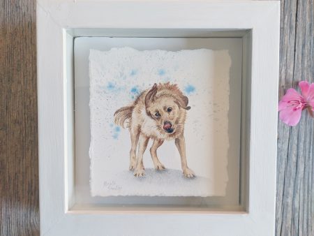 Wet dog watercolour painting