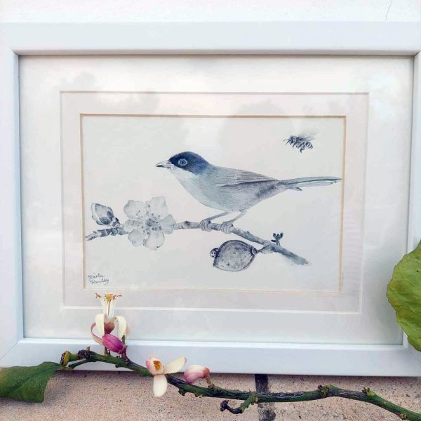 Warbler and Almond Blossom Painting