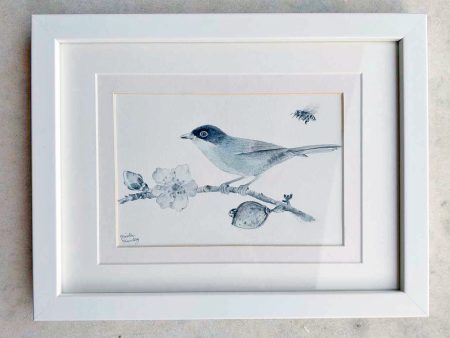 Warbler and Almond Blossom Painting