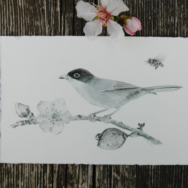 Warbler and Almond Blossom Painting