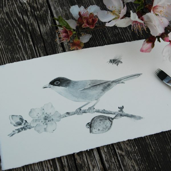 Warbler and Almond Blossom Painting - Image 6