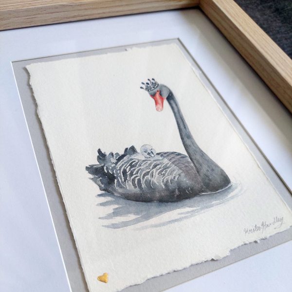 Black Swan Elegance - Image 4